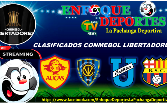 CLASIFICADOS CONMEBOL LIBERTADORES 12
